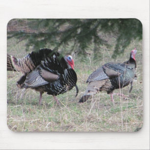 Wild Turkey Love Mouse Pad