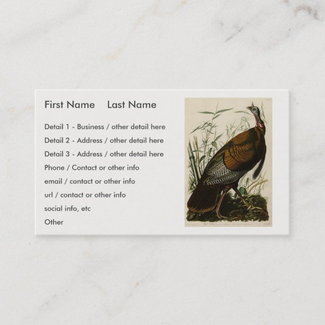 Wild Turkey (Male) from Audubon's Birds of America Business Card (Front)