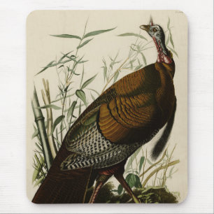 Wild Turkey (Male) from Audubon's Birds of America Mouse Pad