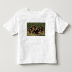 Wild Turkey, Meleagris gallopavo,males Toddler T-shirt