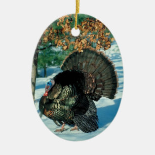 Wild Turkey Photo Holiday Decorations Christmas
