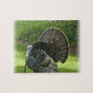 Wild Turkey Puzzle