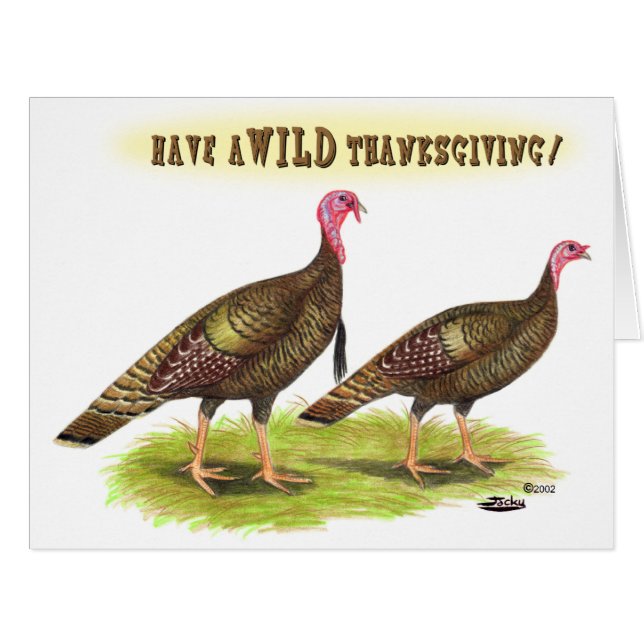 Wild Turkey Thanksgiving (Front Horizontal)