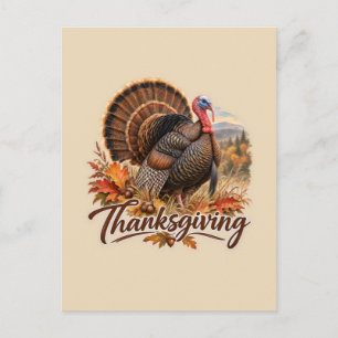 Wild Turkey Thanksgiving Postcard