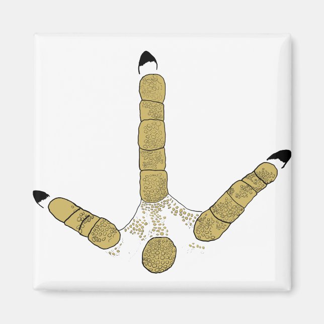 Wild Turkey Track Magnet (Front)
