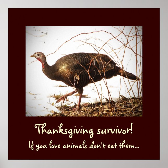 Wild Turkey Vegetarian Poster (Front)