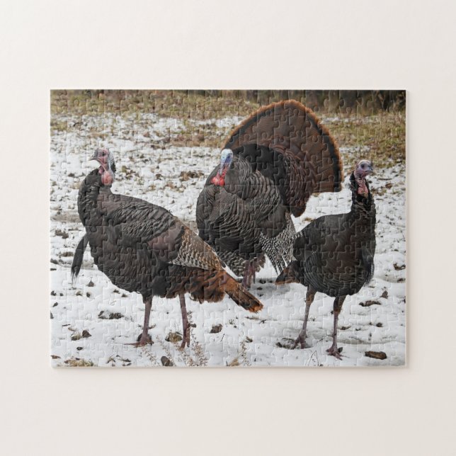 Wild Turkeys In The Snow Jigsaw Puzzle (Horizontal)