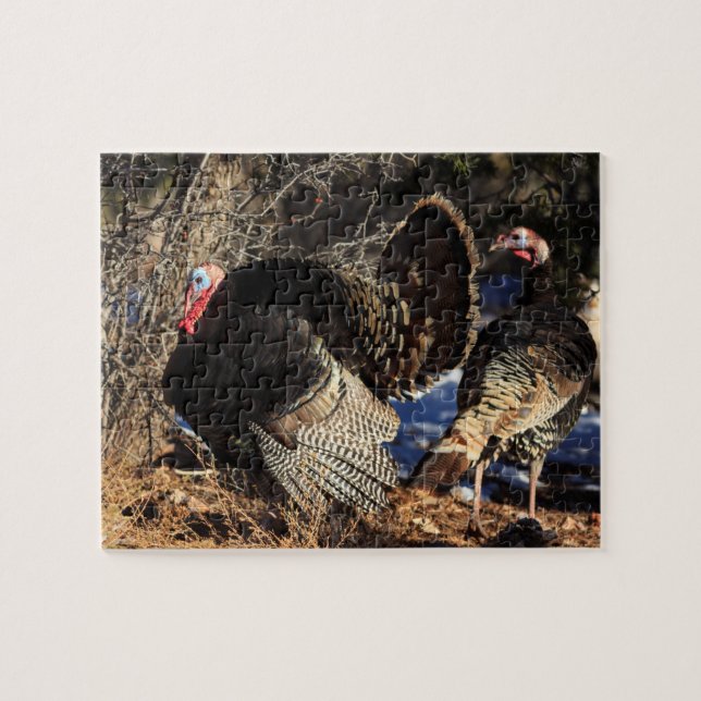 Wild Turkeys Jigsaw Puzzle (Horizontal)