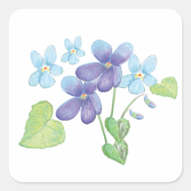 Wild Violet Flowers Illustration  Square Sticker (Front)