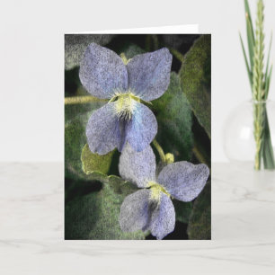Wild Violets Card