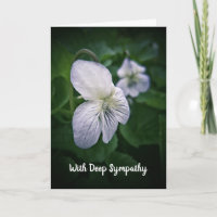 Wild Violets Sympathy Card