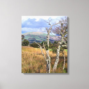 WILD WALES CANVAS PRINT