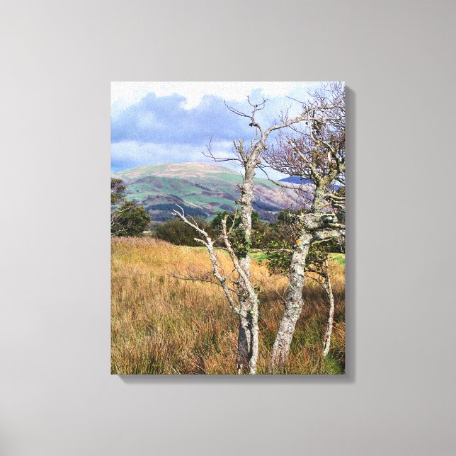 WILD WALES CANVAS PRINT (Front)