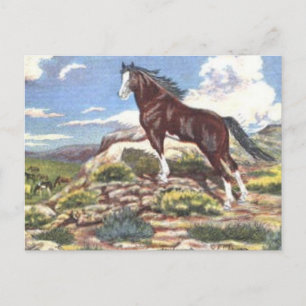 wild west 4 postcard