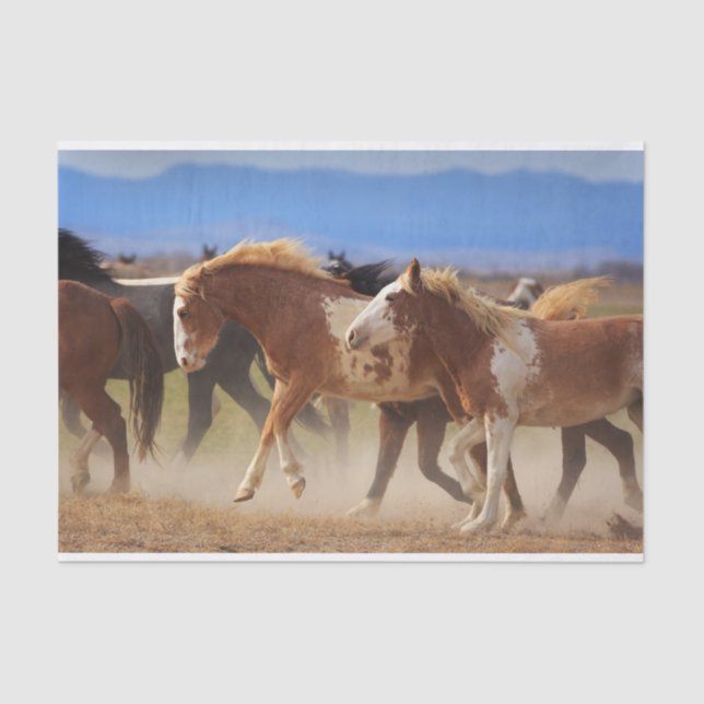 Wild Western Horse Bucking Tissue Paper (Front)
