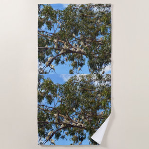 Wild White Australian Cockatoos, Beach Towel