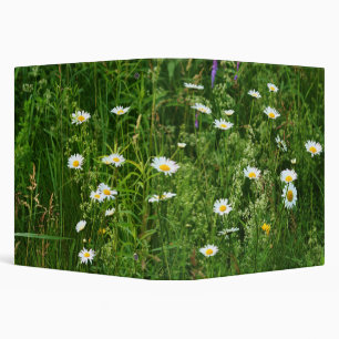 Wild White Daisy Flowers In Field  Binder