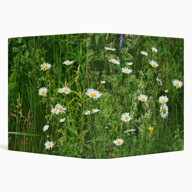 Wild White Daisy Flowers In Field  Binder (Background)