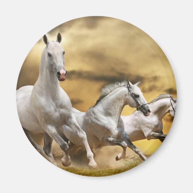 Wild White Horses Magnet (Front)