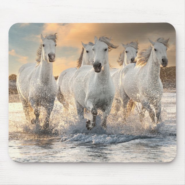 Wild White Horses Mouse Pad (Front)