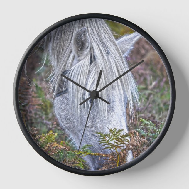 Wild White New Forest Pony Grazing on Bracken Clock (Front)