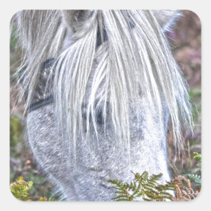 Wild White New Forest Pony Grazing on Bracken Square Sticker