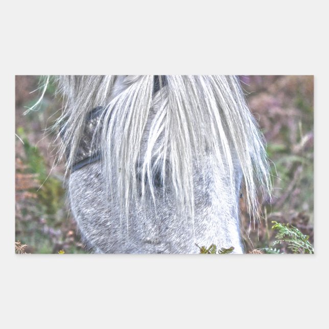 Wild White New Forest Pony Grazing on Bracken Sticker (Front)