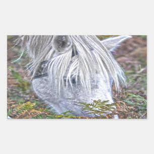 Wild White New Forest Pony Grazing on Bracken Sticker