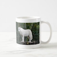 Wild White Wolf