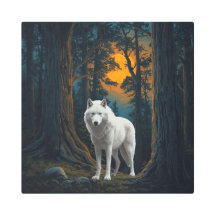 Wild White Wolf Under Moonlight Forest Animal