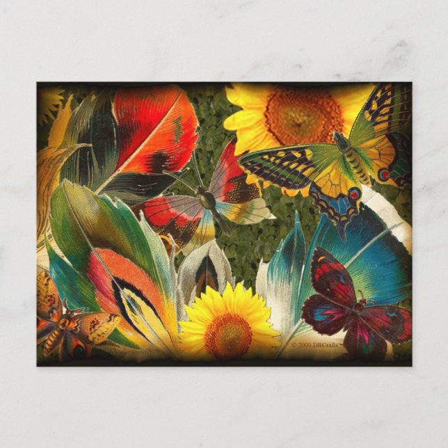 Wild with an edge postcard (Front)