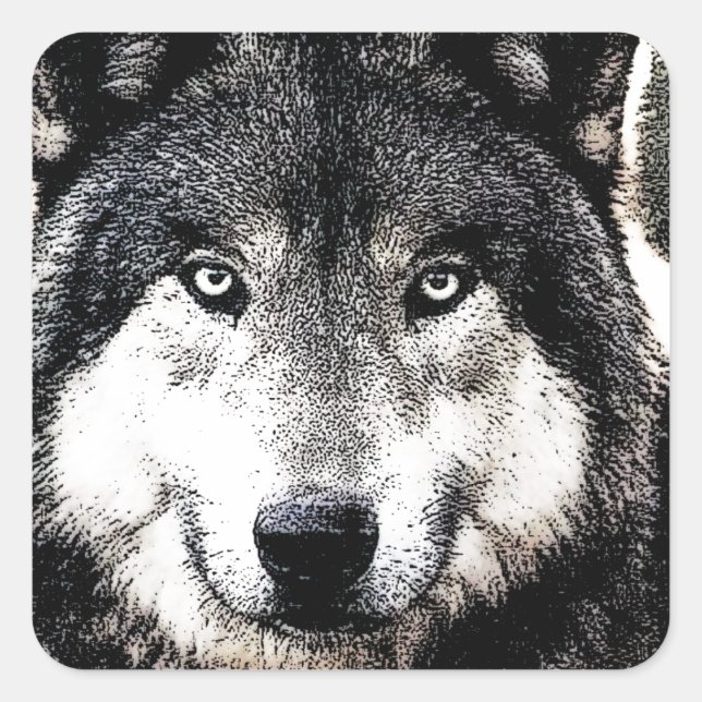 Wild Wolf Artwork Square Sticker (Front)