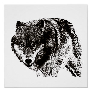 Wild Wolf Black & White Artwork Poster
