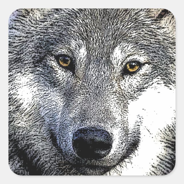 Wild Wolf Eyes Unique Artwork Square Sticker (Front)