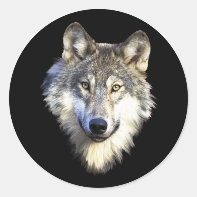 Wild Wolf Face Stickers (Front)