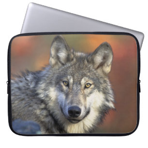 wild wolf laptop sleeve