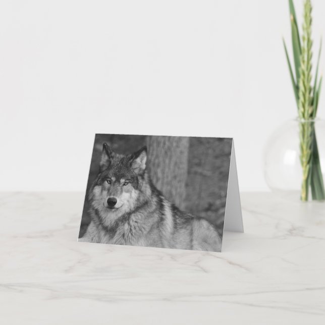 Wild Wolf Note Card (Front)