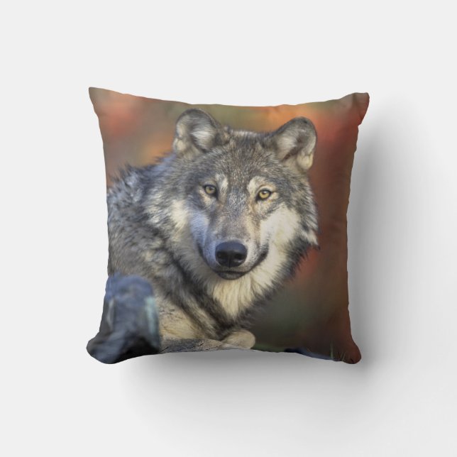 wild wolf throw pillow (Front)