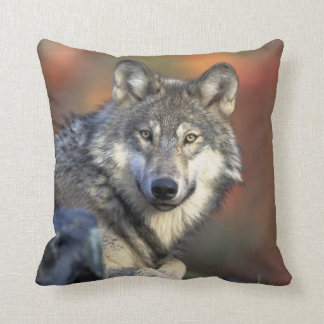 wild wolf throw pillow