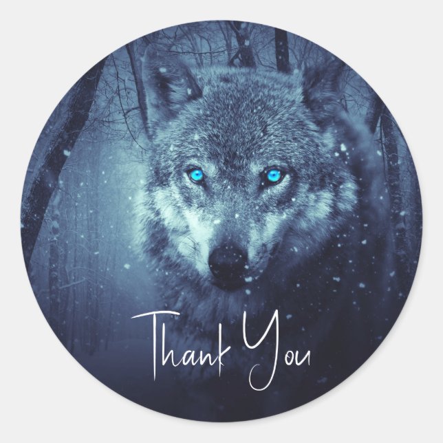 Wild Wolf with Beautiful Blue Eyes Thank You Classic Round Sticker (Front)