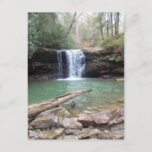 Wild & Wonderfully Rustic! Postcard