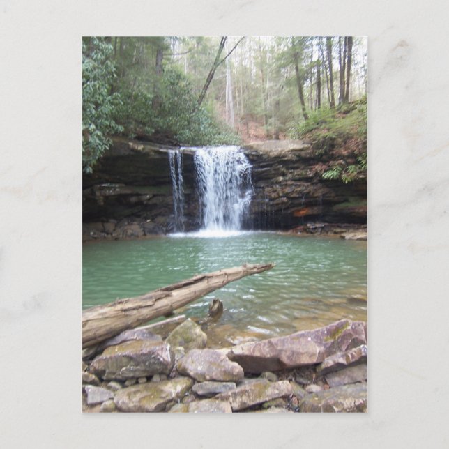 Wild & Wonderfully Rustic! Postcard (Front)