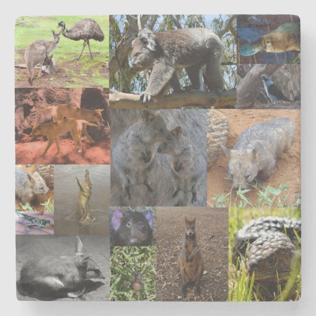 Wild Wonders: Captivating Australian Photo Collage Stone Coaster (Front)