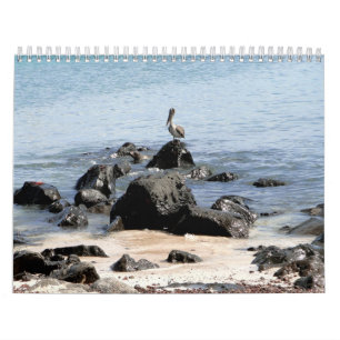 wild world of the Galapagos Calendar