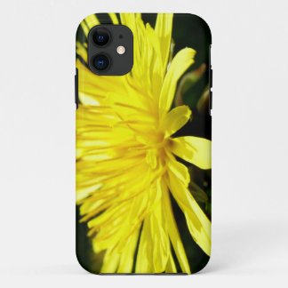 wild yellow flower, dandelion. iPhone 11 case
