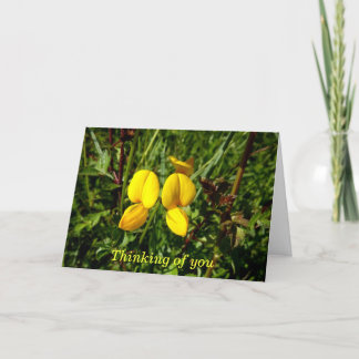 Wild yellow orchids card