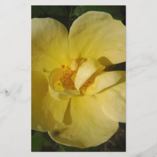 Wild Yellow Rose Stationery