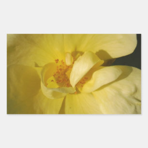 Wild Yellow Rose Sticker