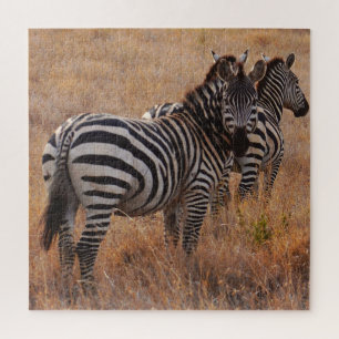 Wild Zebra on African Plain Jigsaw Puzzle