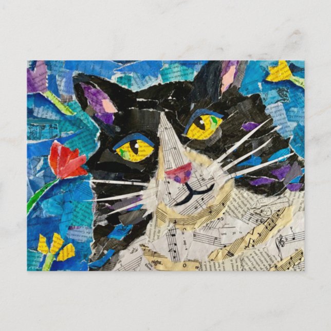 Wildboy the Cat Postcard (Front)